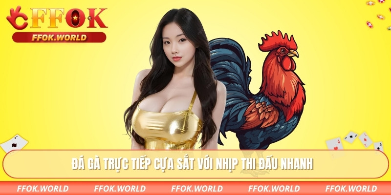 Đá Gà Trực Tiếp FFOK – Theo Dõi, Chọn Kèo Theo Diễn Biến 1 Đá gà trực tiếp cựa sắt với nhịp thi đấu nhanh