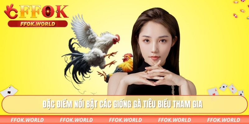 Đá Gà Campuchia - Trải Nghiệm Trò Chơi Truyền Thống Từ FFOK 2 Đặc điểm nổi bật các giống gà tiêu biểu tham gia