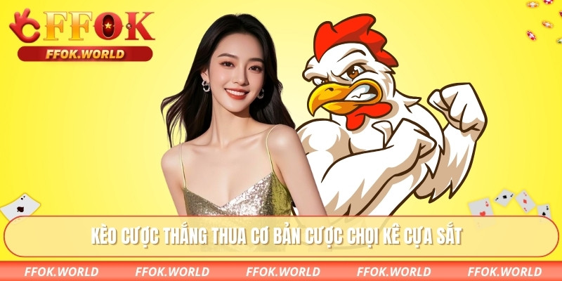 Kèo cược thắng thua cơ bản cược chọi kê cựa sắt