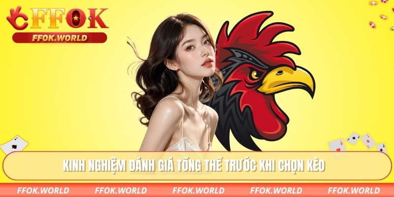 Đá Gà Trực Tiếp FFOK – Theo Dõi, Chọn Kèo Theo Diễn Biến 3 Kinh nghiệm đánh giá tổng thể trước khi chọn kèo