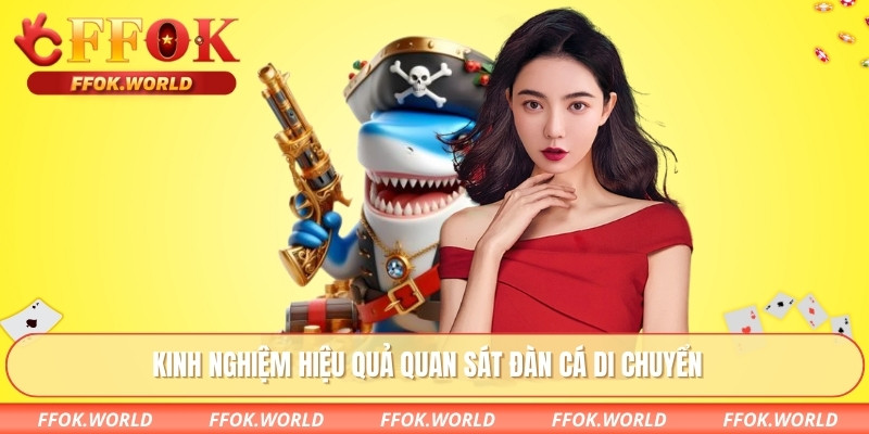 Kinh nghiệm hiệu quả quan sát đàn cá di chuyển