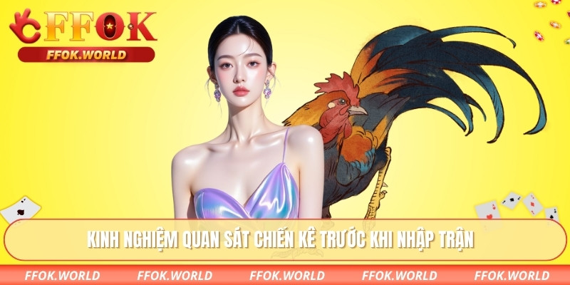 Kinh nghiệm quan sát chiến kê trước khi nhập trận