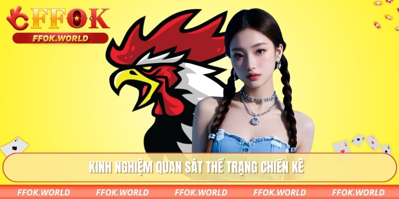 Kinh nghiệm quan sát thể trạng chiến kê