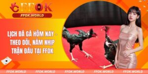 Lịch đá gà hôm nay