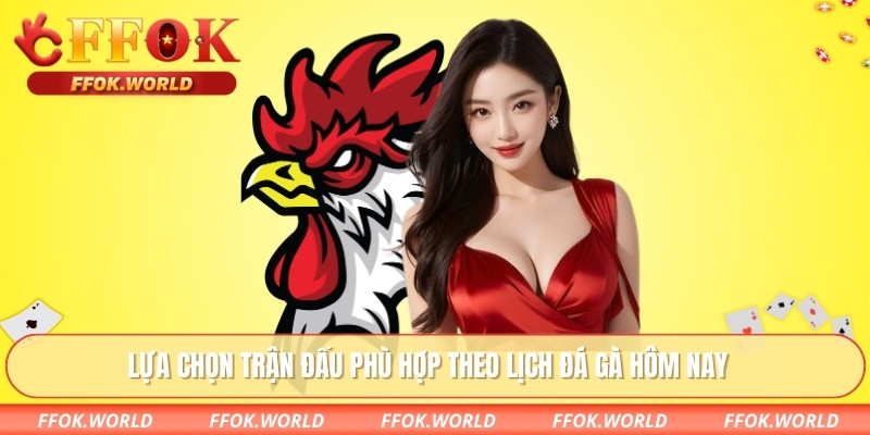 Lựa chọn trận đấu phù hợp theo lịch đá gà hôm nay