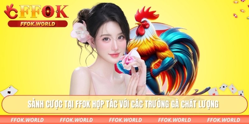 Sảnh cược tại FFOK hợp tác với các trường gà chất lượng