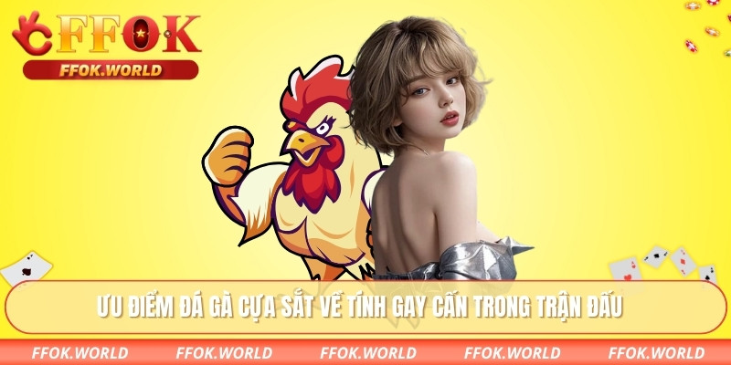 Ưu điểm đá gà cựa sắt về tính gay cấn trong trận đấu