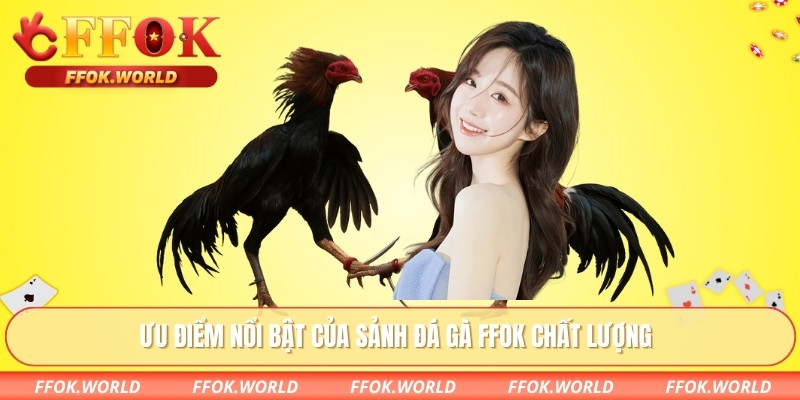Ưu điểm nổi bật của sảnh đá gà FFOK chất lượng