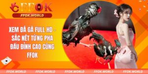 Xem đá gà full HD